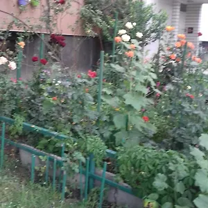 https://mvk.sofiahotelsbg.com